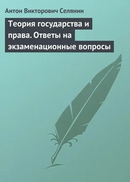 Антон Селянин Теория государства и права. Ответы на экзаменационные вопросы обложка книги