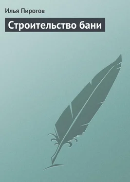 Илья Пирогов Строительство бани обложка книги