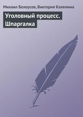 Михаил Белоусов Уголовный процесс. Шпаргалка обложка книги