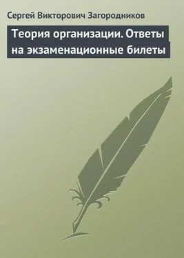 Сергей Загородников Теория организации. Ответы на экзаменационные билеты обложка книги