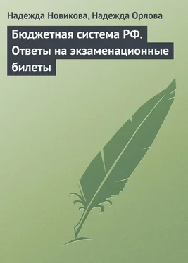 Надежда Орлова Бюджетная система РФ. Ответы на экзаменационные билеты обложка книги