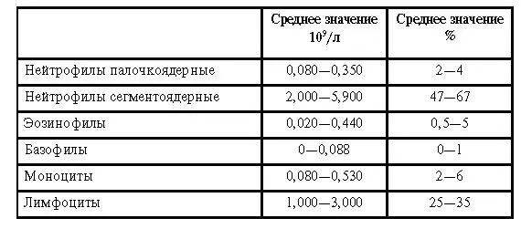 Лимфоциты Являются центральным звеном иммунной системы они участвуют в - фото 1