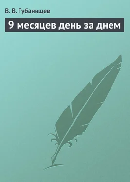 В. Губанищев 9 месяцев день за днем обложка книги