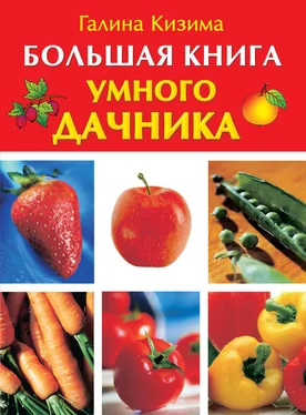 Галина Кизима Большая книга умного дачника обложка книги