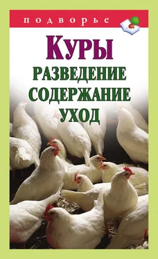 Виктор Горбунов Куры. Разведение, содержание, уход обложка книги