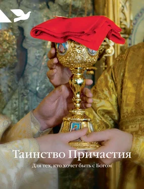 Дарья Пушкина Таинство Причастия. Для тех, кто хочет быть с Богом обложка книги