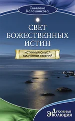 Светлана Калашникова - Свет Божественных Истин. Истинный смысл жизненных явлений