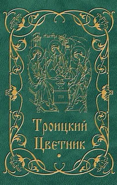 Мария Строганова Троицкий цветник обложка книги