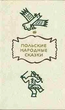 Автор Неизвестен Польские народные сказки обложка книги