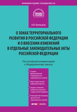 Анна Белицкая Комментарий к Федеральному закону от 3 декабря 2011 года № 392-ФЗ «О зонах территориального развития в Российской Федерации и о внесении изменений в отдельные законодательные акты Российской Федерации» (постатейный) обложка книги