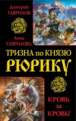 Дмитрий Гаврилов - Тризна по князю Рюрику. Кровь за кровь! (сборник)