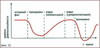 Планомерное повторение нагрузок именно в фазу суперкомпенсации приводит к - фото 2