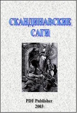 неизвестен Автор Скандинавские саги обложка книги