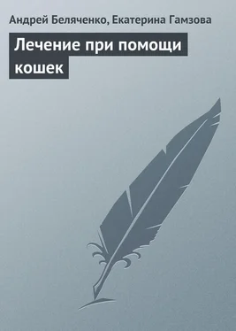 Андрей Беляченко Лечение при помощи кошек обложка книги