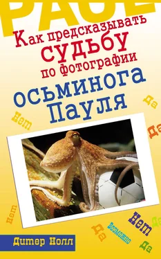 Дитер Нолл Как предсказывать судьбу по фотографии осьминога Пауля обложка книги