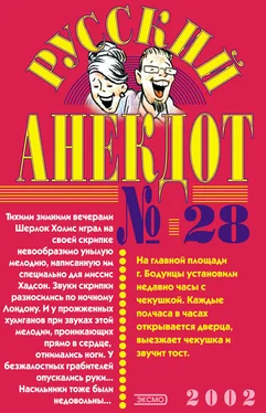 Сборник Русский анекдот № 28 обложка книги