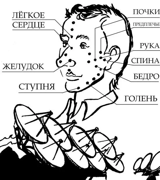 Еще во времена седой старины люди отмечали что при заболеваниях внутренних - фото 3