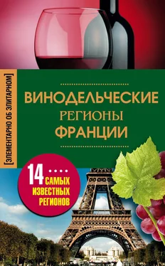 Ирина Пигулевская Винодельческие регионы Франции обложка книги