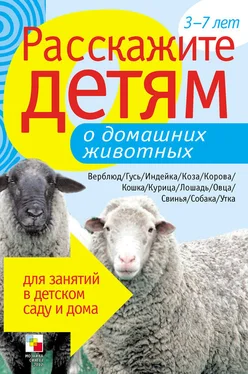 Э. Емельянова Расскажите детям о домашних животных обложка книги