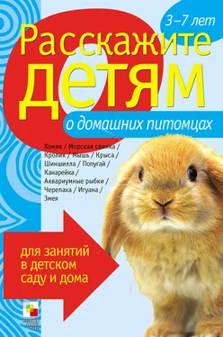 Э. Емельянова Расскажите детям о домашних питомцах обложка книги