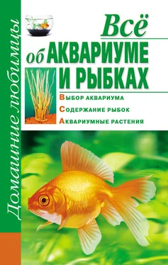 Дарья Костина Всё об аквариуме и рыбках обложка книги