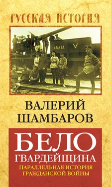 Валерий Шамбаров Белогвардейщина. Параллельная история Гражданской войны обложка книги