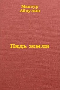 Мансур Абдулин Пядь земли обложка книги