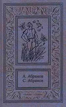 Александр Абрамов Приключения на Лесной улице обложка книги