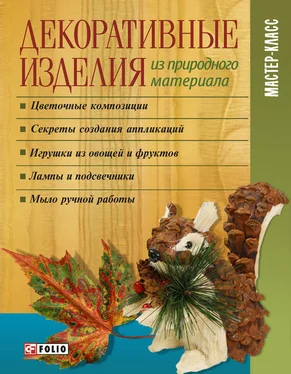 И. Тумко Декоративные изделия из природного материала обложка книги