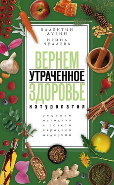 Валентин Дубин Вернем утраченное здоровье. Натуропатия. Рецепты, методики и советы народной медицины обложка книги