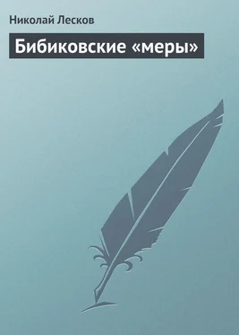 Николай Лесков Бибиковские «меры» обложка книги