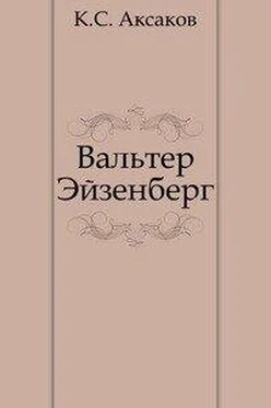 Константин Аксаков Вальтер Эйзенберг [Жизнь в мечте] обложка книги