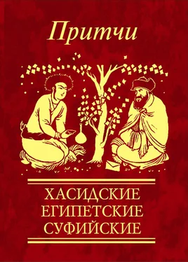 Сборник Притчи. Хасидские, египетские, суфийские обложка книги