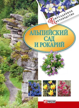 Мария Згурская Альпийский сад и рокарий обложка книги