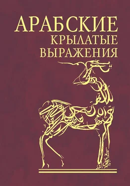 Сборник Арабские крылатые выражения обложка книги