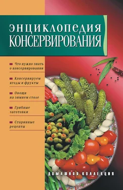 Ирина Сокол Энциклопедия консервирования обложка книги