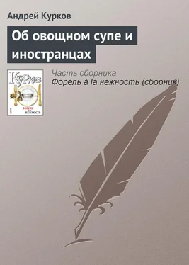Андрей Курков Об овощном супе и иностранцах обложка книги
