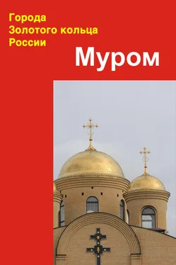 Александр Ханников Муром обложка книги