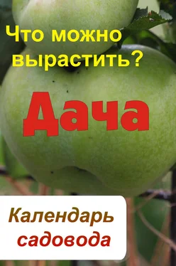 Илья Мельников Календарь садовода. Что можно вырастить? обложка книги