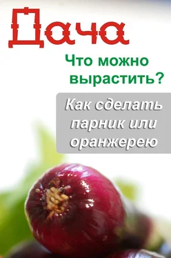 Илья Мельников Что можно вырастить? Как сделать парник или оранжерею обложка книги