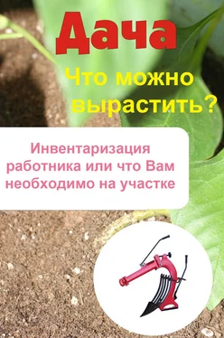 Илья Мельников Что можно вырастить? Инвентаризация работника, или Что вам необходимо на участке обложка книги