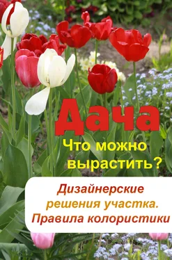 Илья Мельников Что можно вырастить? Дизайнерские решения участка. Правила колористики обложка книги