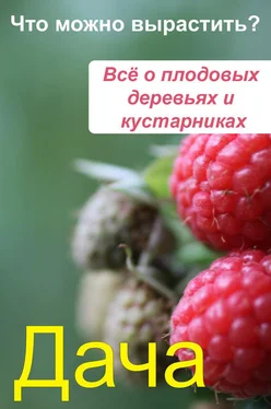 Илья Мельников Что можно вырастить? Всё о плодовых деревьях и кустарниках обложка книги