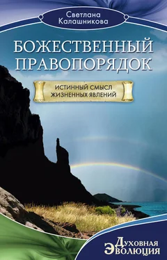 Светлана Калашникова Божественный правопорядок. Истинный смысл жизненных явлений обложка книги