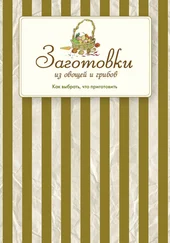 Сборник рецептов - Заготовки из овощей и грибов. Как выбрать, что приготовить