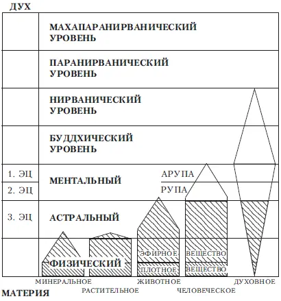 Рис 3 Эволюция и инволюция Глава I Как можно узнать такие вещи Человек - фото 3