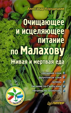 Александр Кородецкий Очищающее и исцеляющее питание по Малахову. Живая и мертвая еда обложка книги