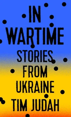 Tim Judah In Wartime: Stories from Ukraine обложка книги