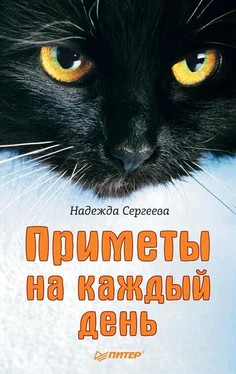 Надежда Сергеева Приметы на каждый день обложка книги