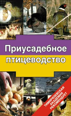 Эдуард Бондарев Приусадебное птицеводство обложка книги